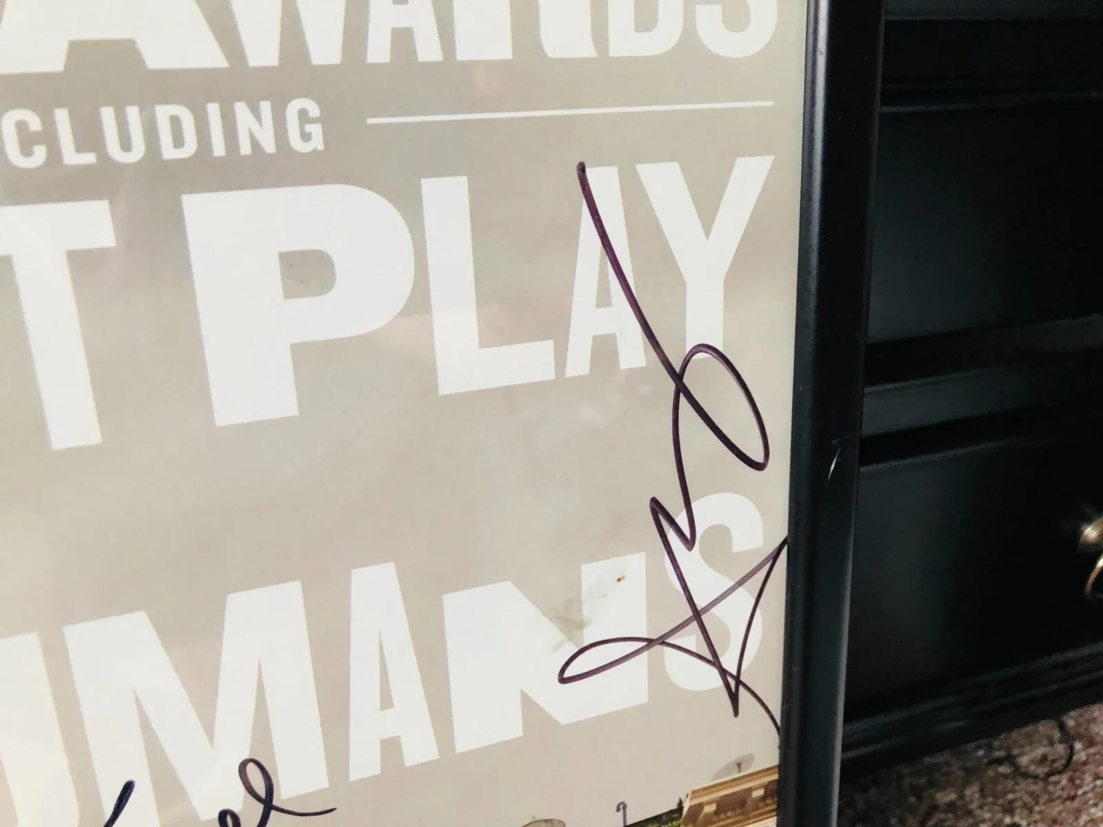 The Humans - Tony Award Musical Poster - Cast Signed & Framed Mint, изображение 3