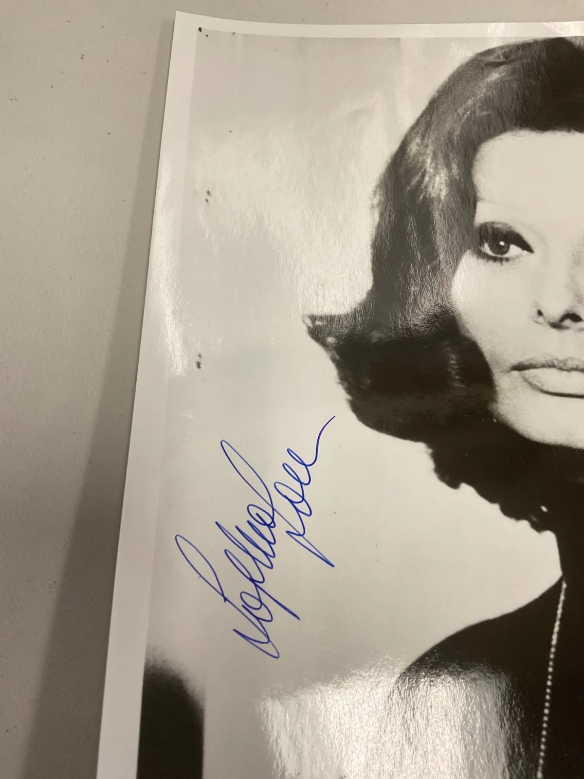 SOPHIA LOREN SIGNED 8x10 JSA 10149 RARE PHOTO, изображение 2