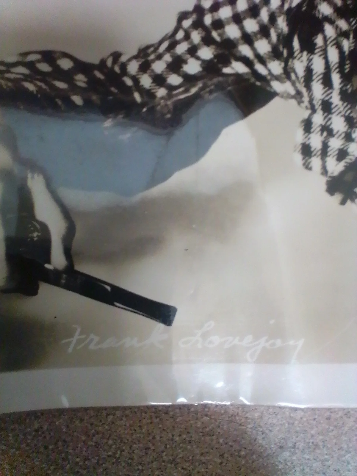 Vintage Pictue Signed at bottom Frank Lovejoy, изображение 2