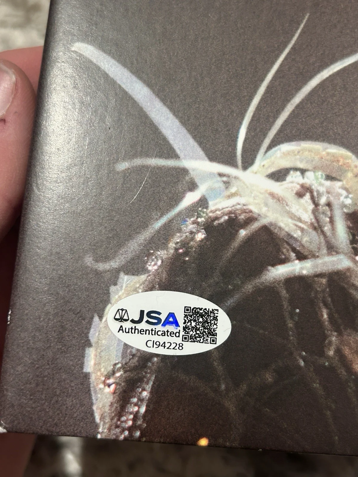 Miley Cyrus Autographed Something Beautiful Signed Vinyl JSA COA, image 4