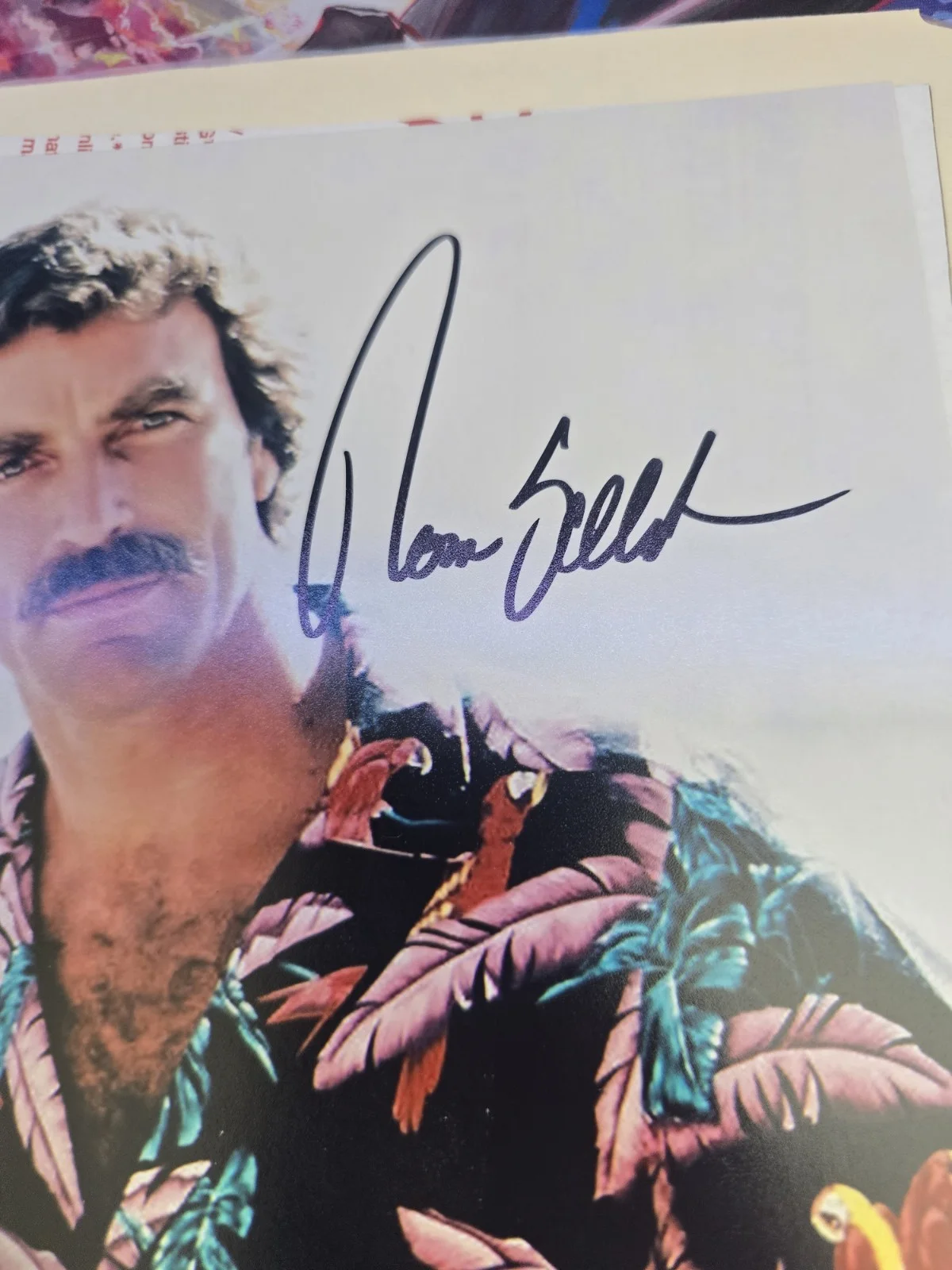 Tom Selleck — Tom Selleck Autographed 8x10 Photograph, image 2
