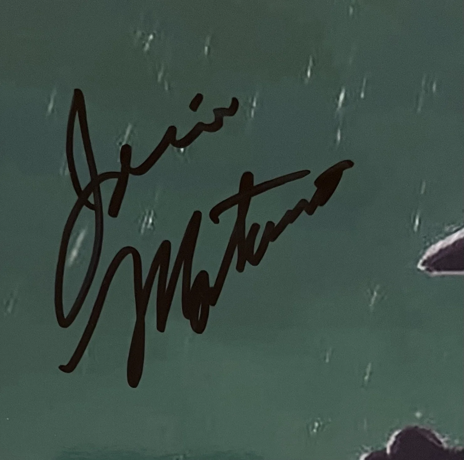 Jamie Mortellaro — Jamie Mortellaro signed 8x10 photo of Prince Sidon from The Legend of Zelda JSA, изображение 4