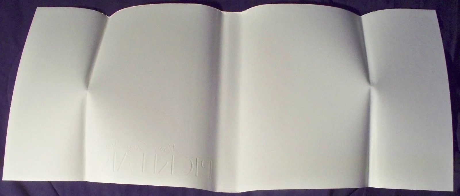 Ricki Lake — Ricki Lake signed book HC DJ - Never Say Never - autographed, image 5