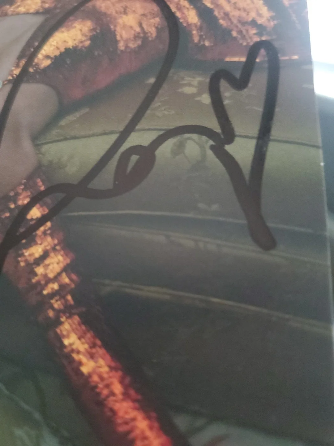 Taylor Swift The Life Of A Showgirl Signed Cd #2 With Beautiful Loopy Heart, изображение 3