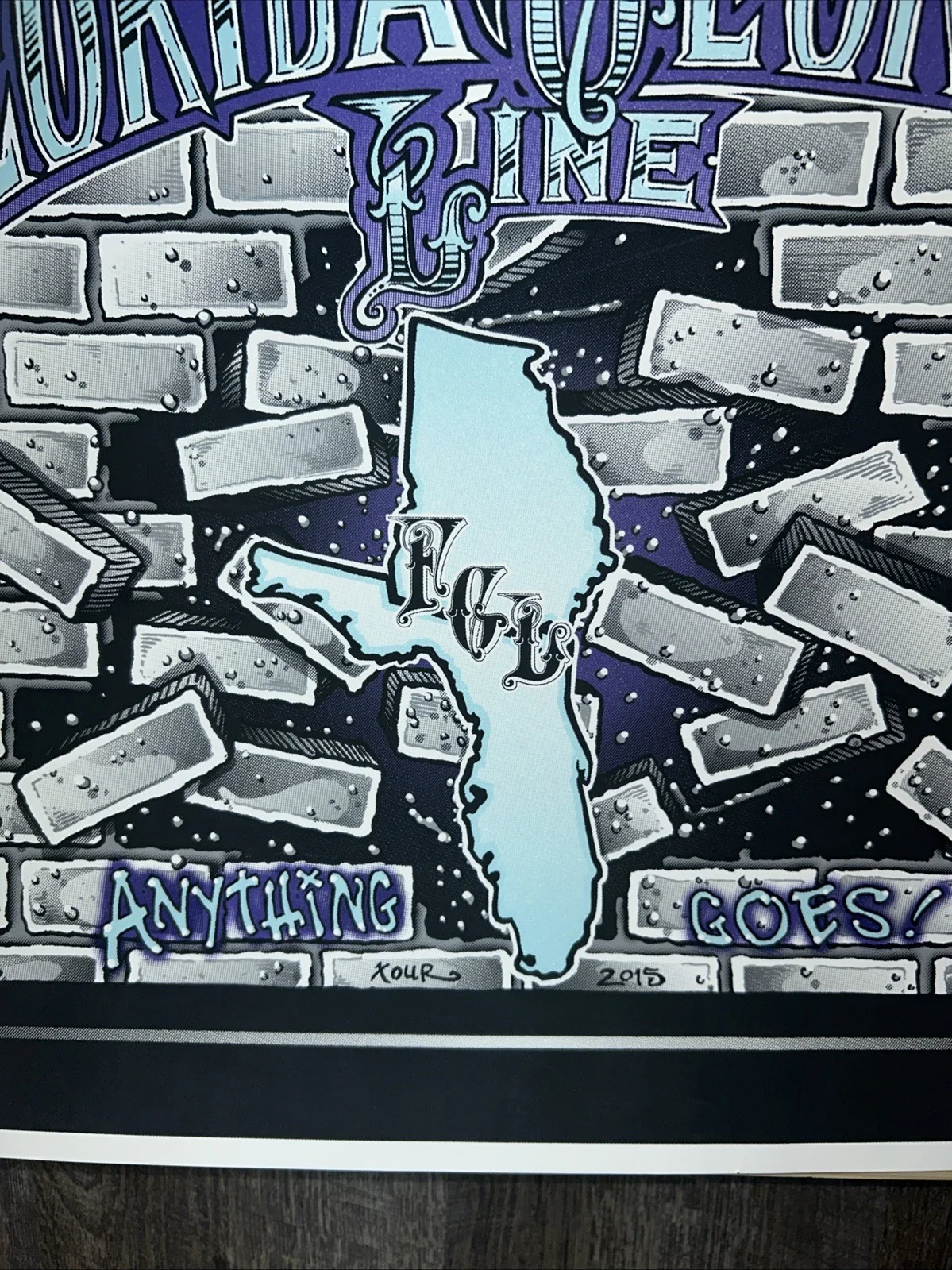 FGL FLORIDA GEORGIA LINE ANYTHING GOES TOUR 2015 POSTER SIGNED AUTOGRAPHED, изображение 5