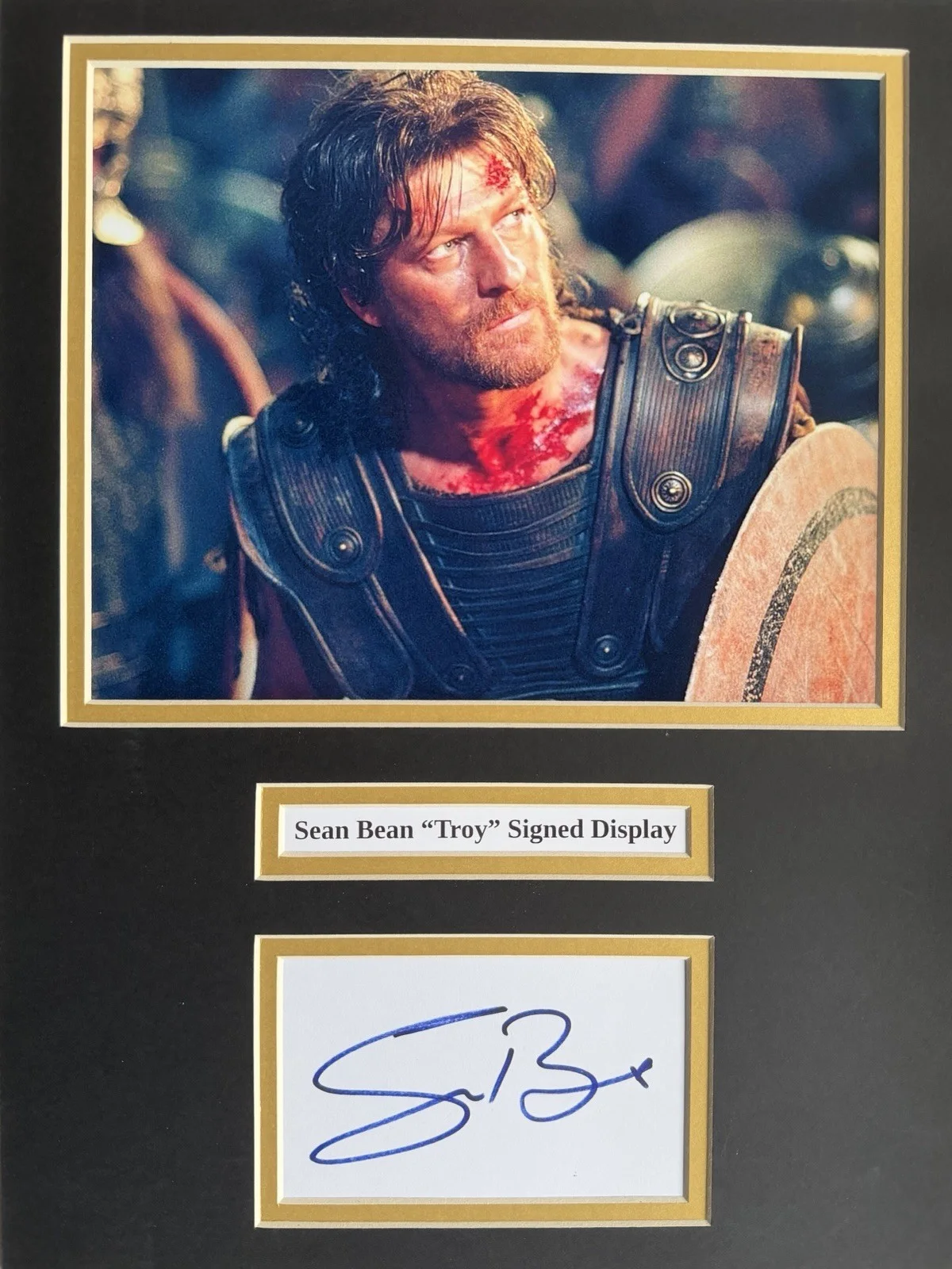 Sean Bean “Troy” Signed Framed 16" X 12” Double Mounted Display, image 2