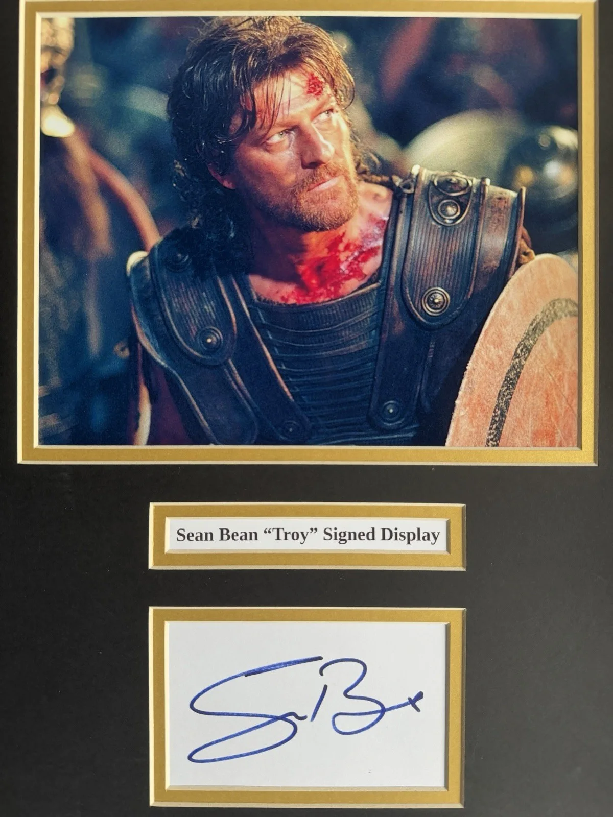 Sean Bean “Troy” Signed Framed 16" X 12” Double Mounted Display, image 3
