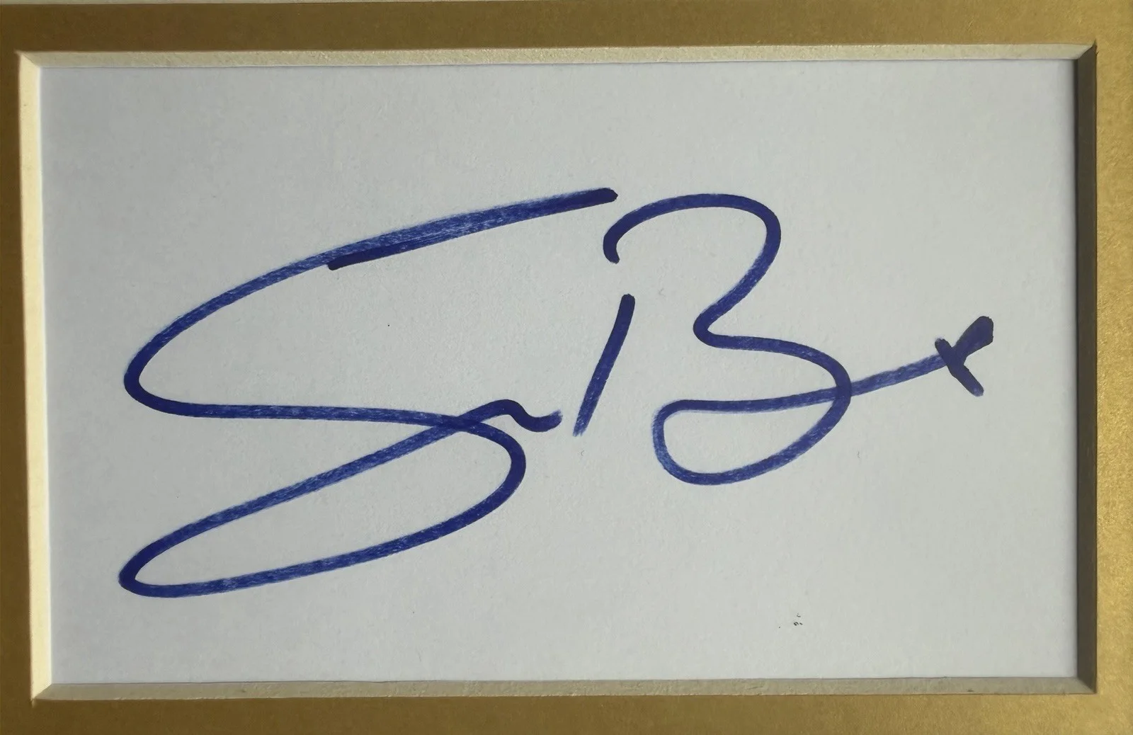 Sean Bean “Troy” Signed Framed 16" X 12” Double Mounted Display, image 5