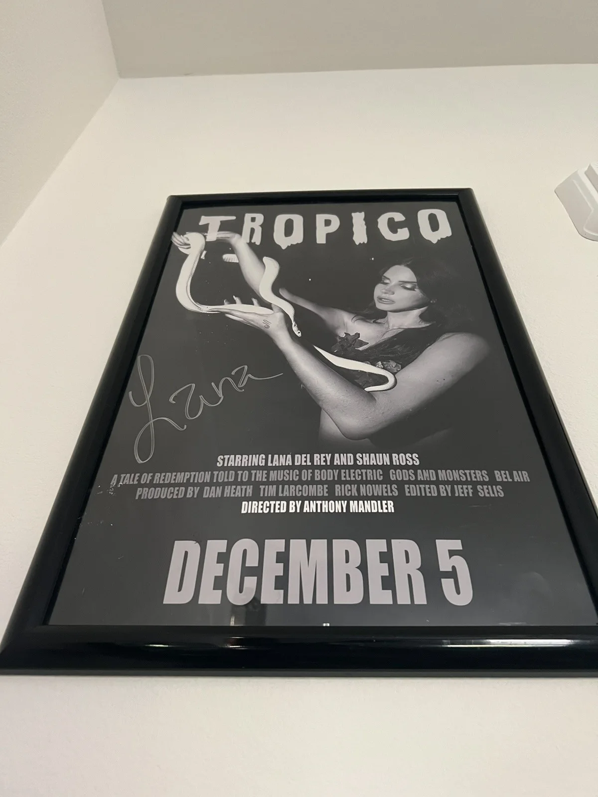 Lana Del Rey Signed Poster, image 2