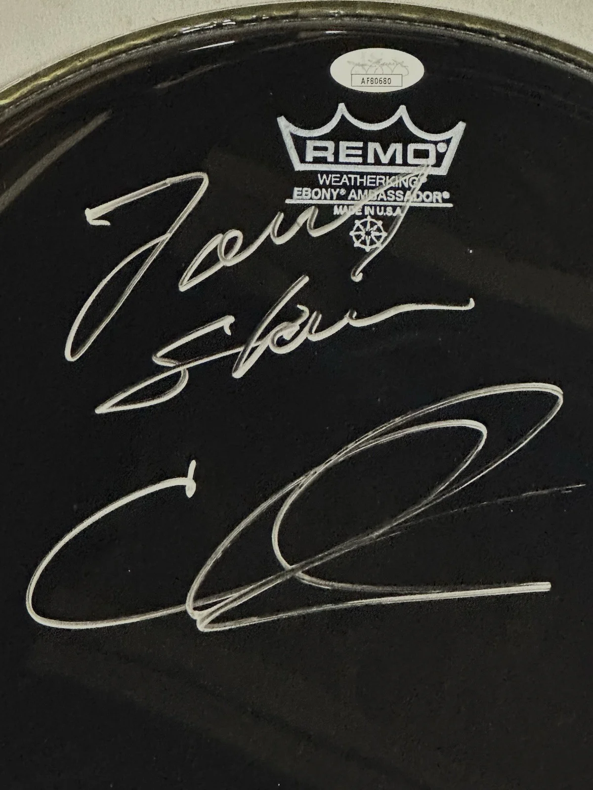Chris Layton & Tommy Shannon Signed Drumhead Stevie Ray Vaughan Band JSA COA, image 2