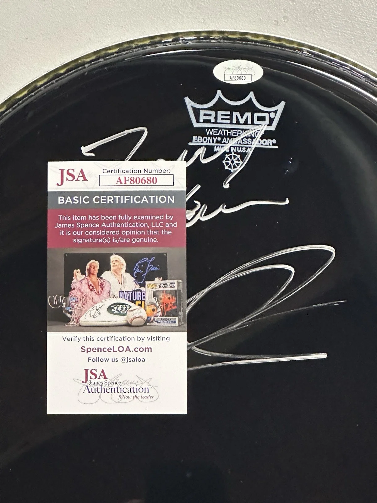 Chris Layton & Tommy Shannon Signed Drumhead Stevie Ray Vaughan Band JSA COA, image 3