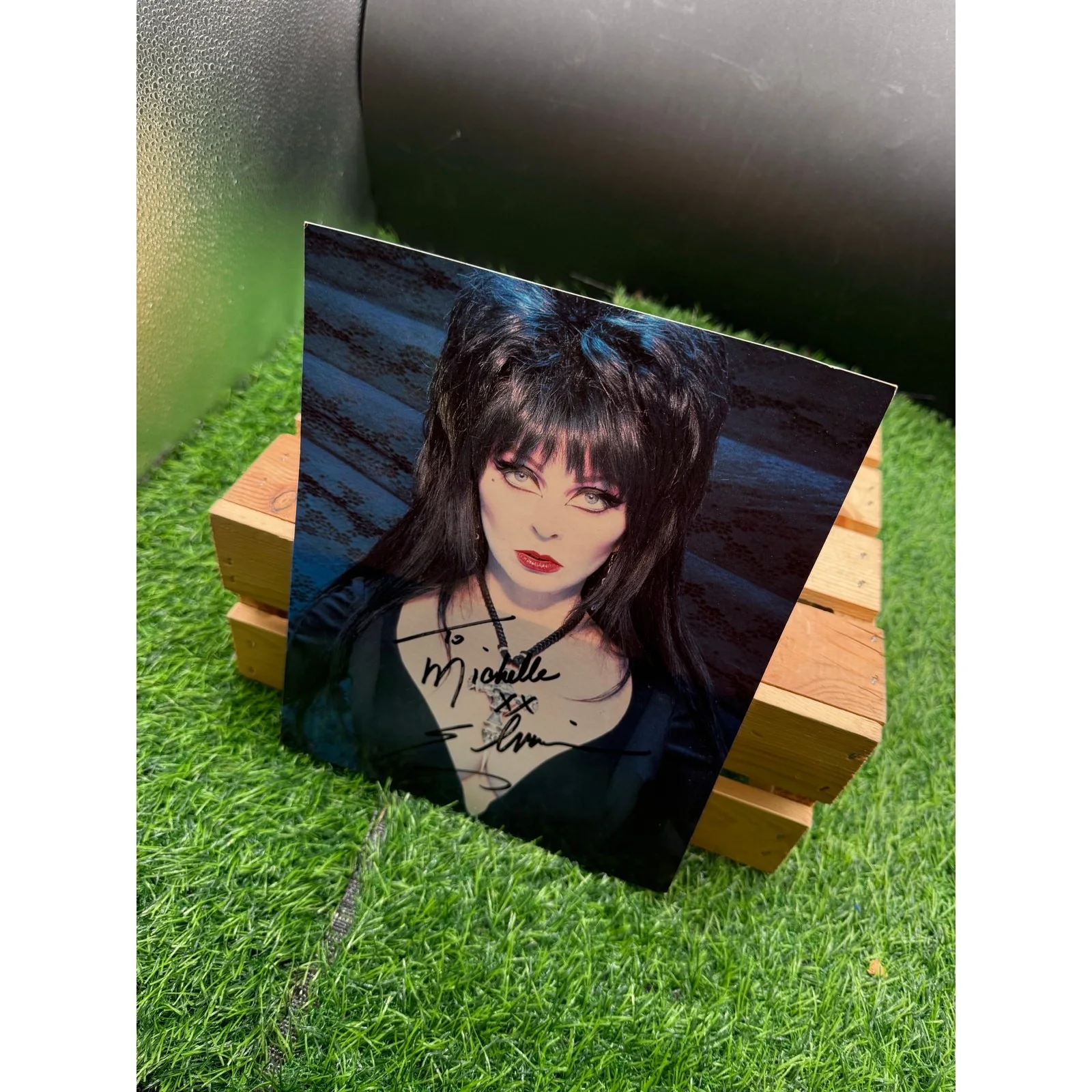 Autographed 8x10 Photo of Cassandra Peterson-Elvira-Address toMichelle, изображение 2