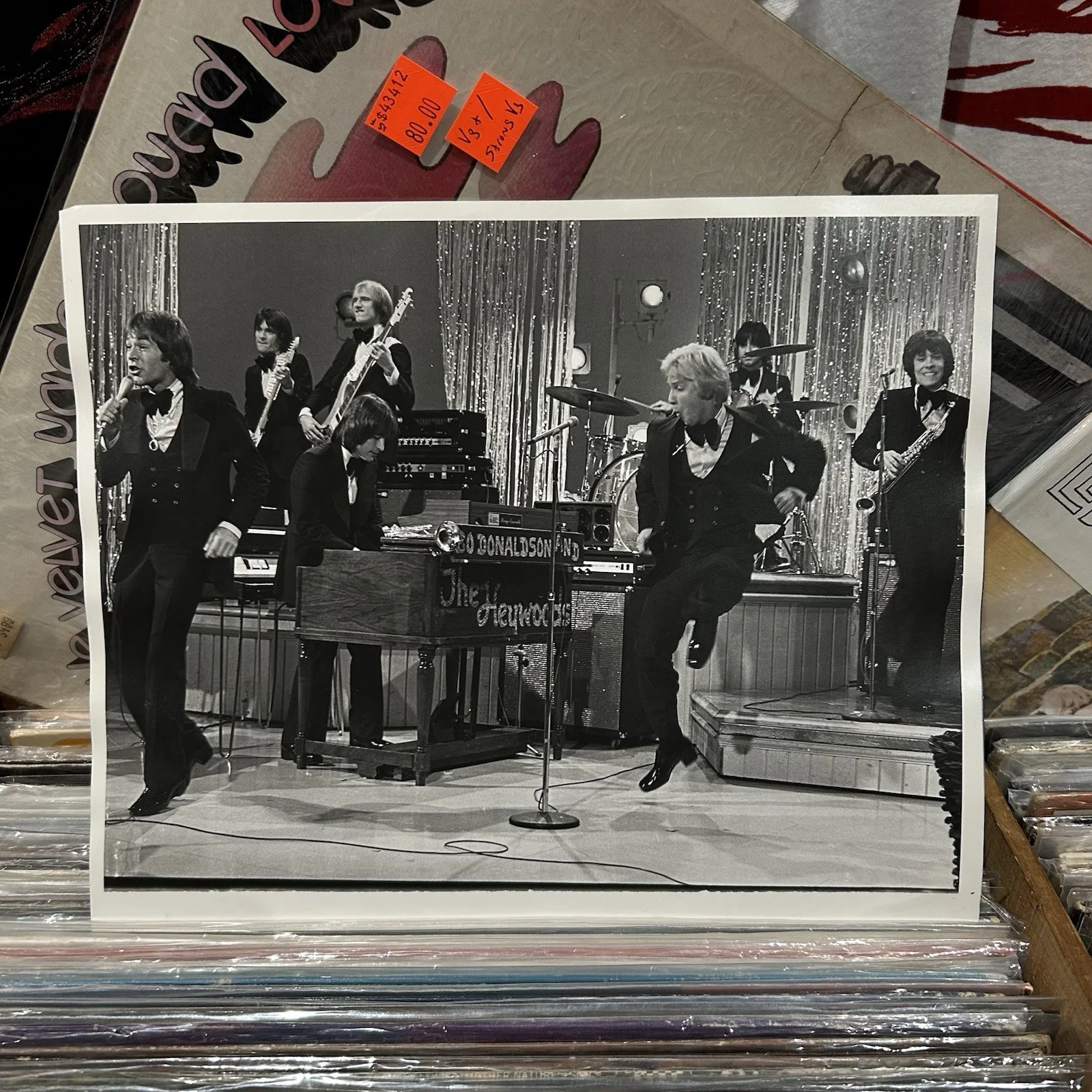 Bo Donaldson And The Haywood’s Original 8x10 Photo, изображение 2
