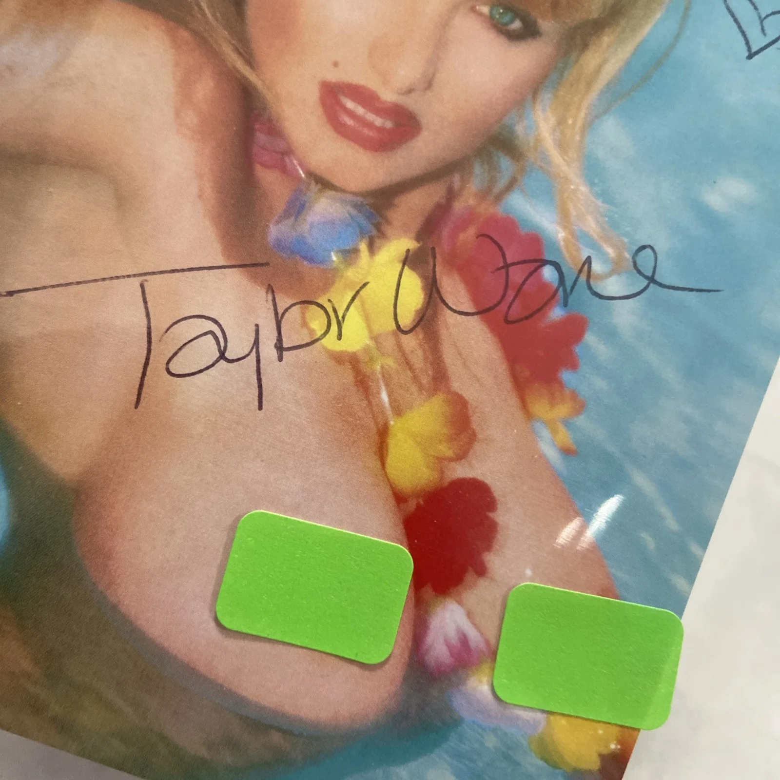 TAYLOR WANE Hand Signed Autograph 3.5x5 Photo = SEXY ADULT FILMS & PENTHOUSE PET, изображение 2