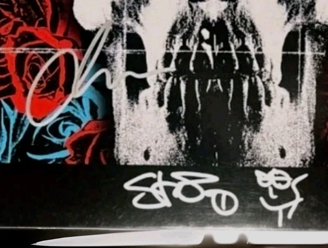 Chino Moreno & Steph Carpenter Signed Deftones Ltd Ed Red Vinyl LP Album JSA COA, изображение 4