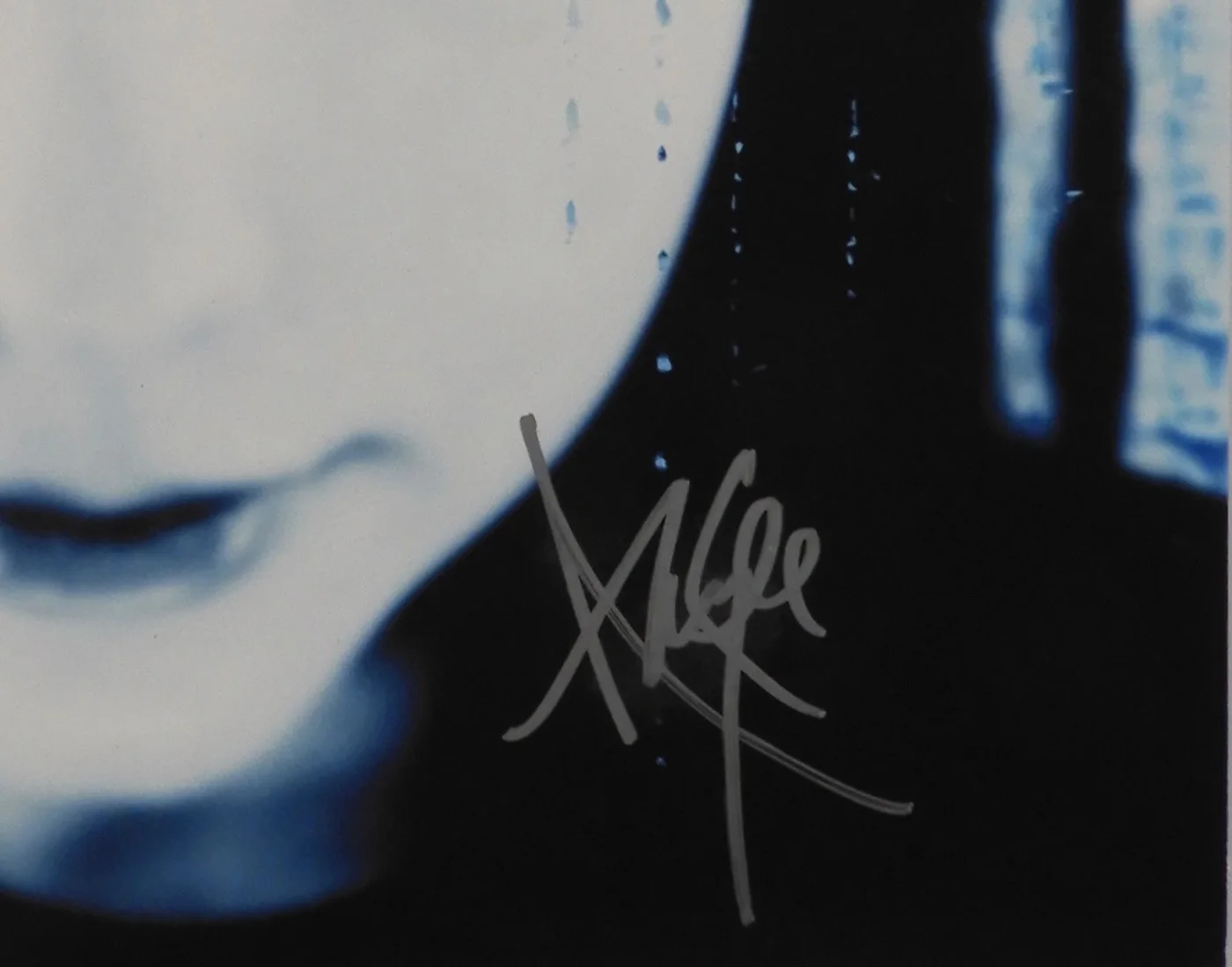 Evanescence Amy Lee JSA Signed Autograph Album Record Fallen, image 2