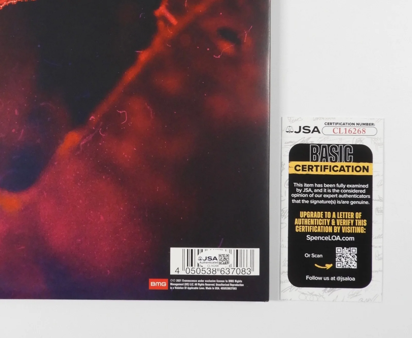 Evanescence Amy Lee JSA Signed Autograph Album Record The Bitter Truth, изображение 3