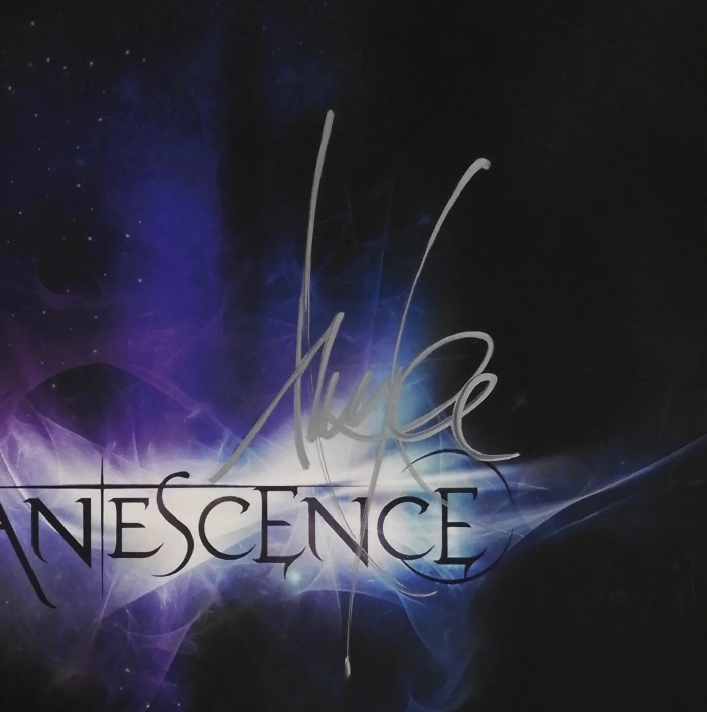 Evanescence Amy Lee JSA Signed Autograph Album Record, image 2