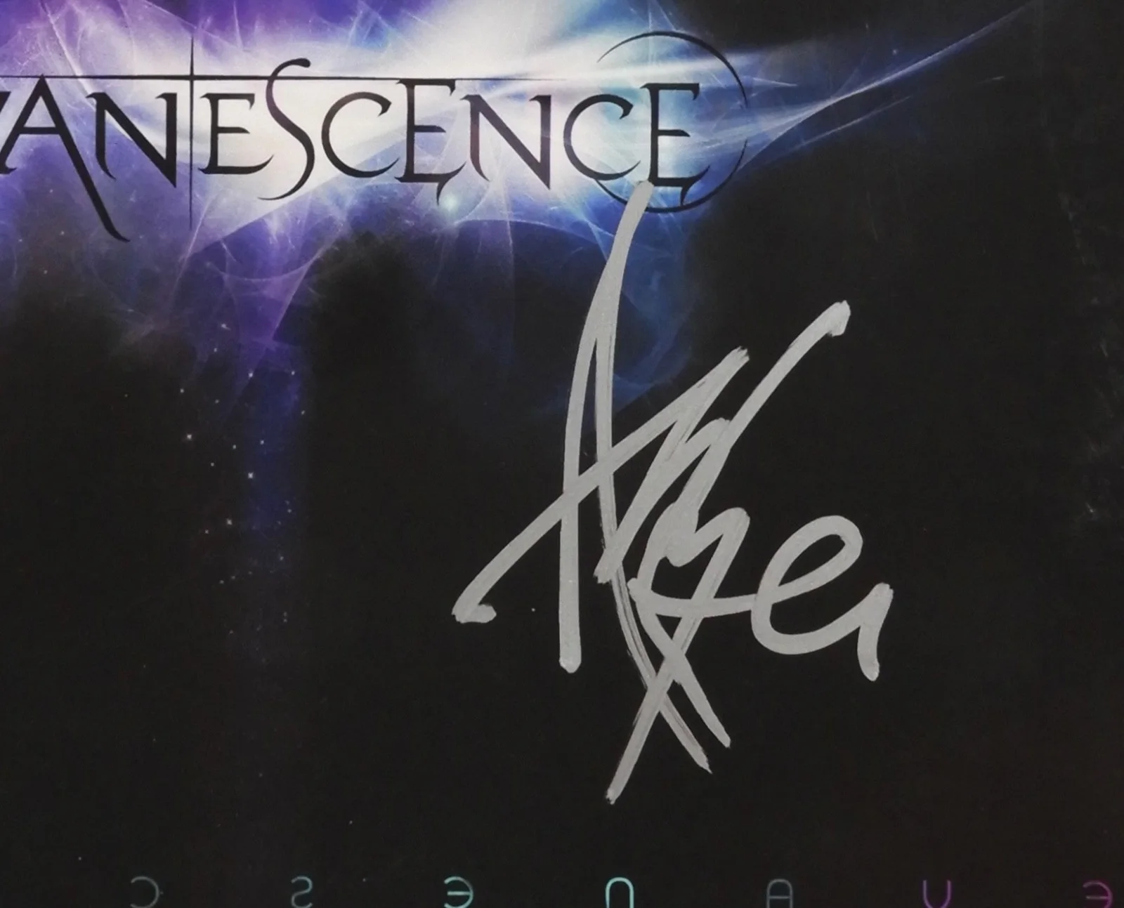 Evanescence Amy Lee JSA Signed Autograph Album Record, image 2