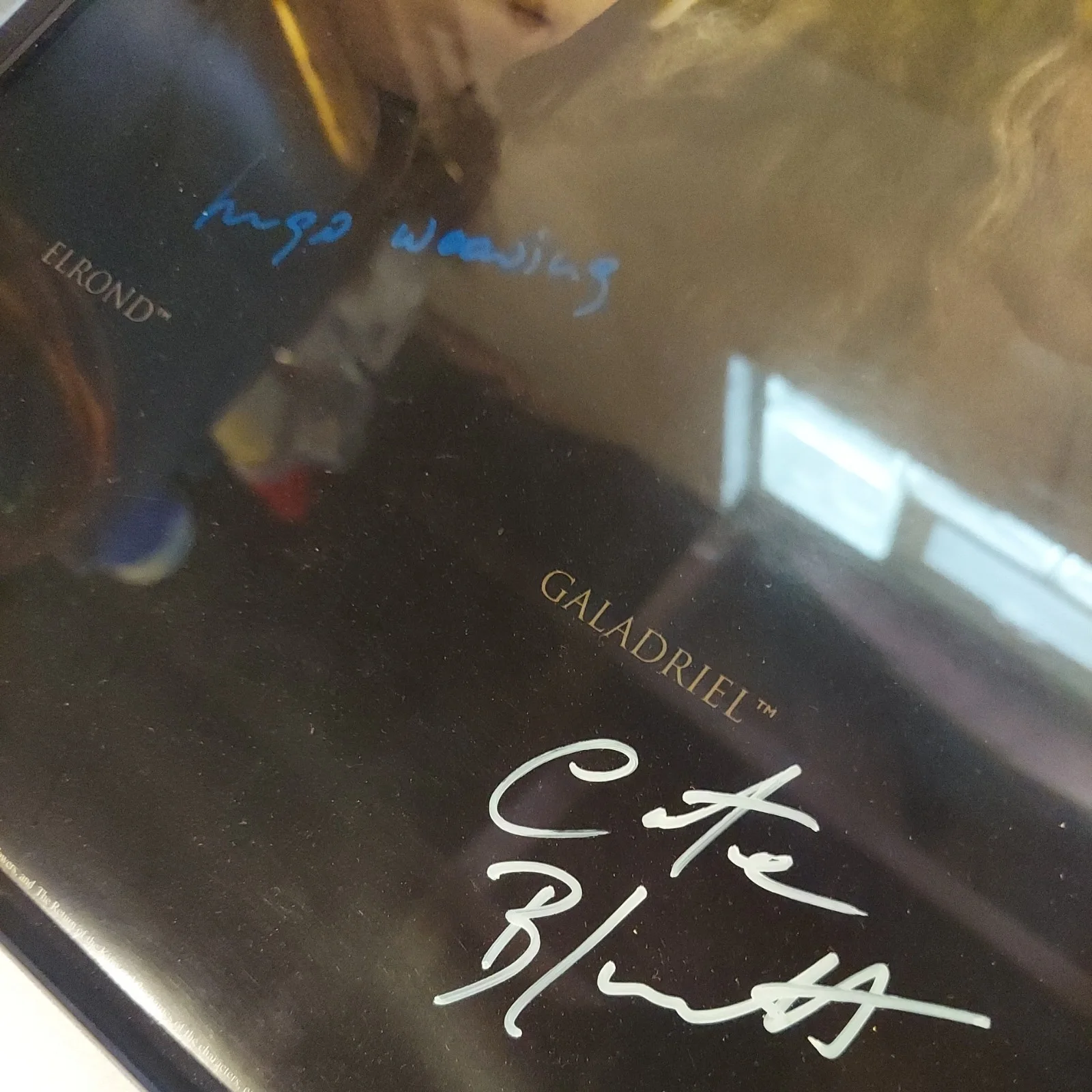 Movie Cast — LORD OF THE RINGS LotR CAST SIGNED POSTER 64x23.5 AUTOGRAPHED BY 20 MAIN CAST, изображение 3