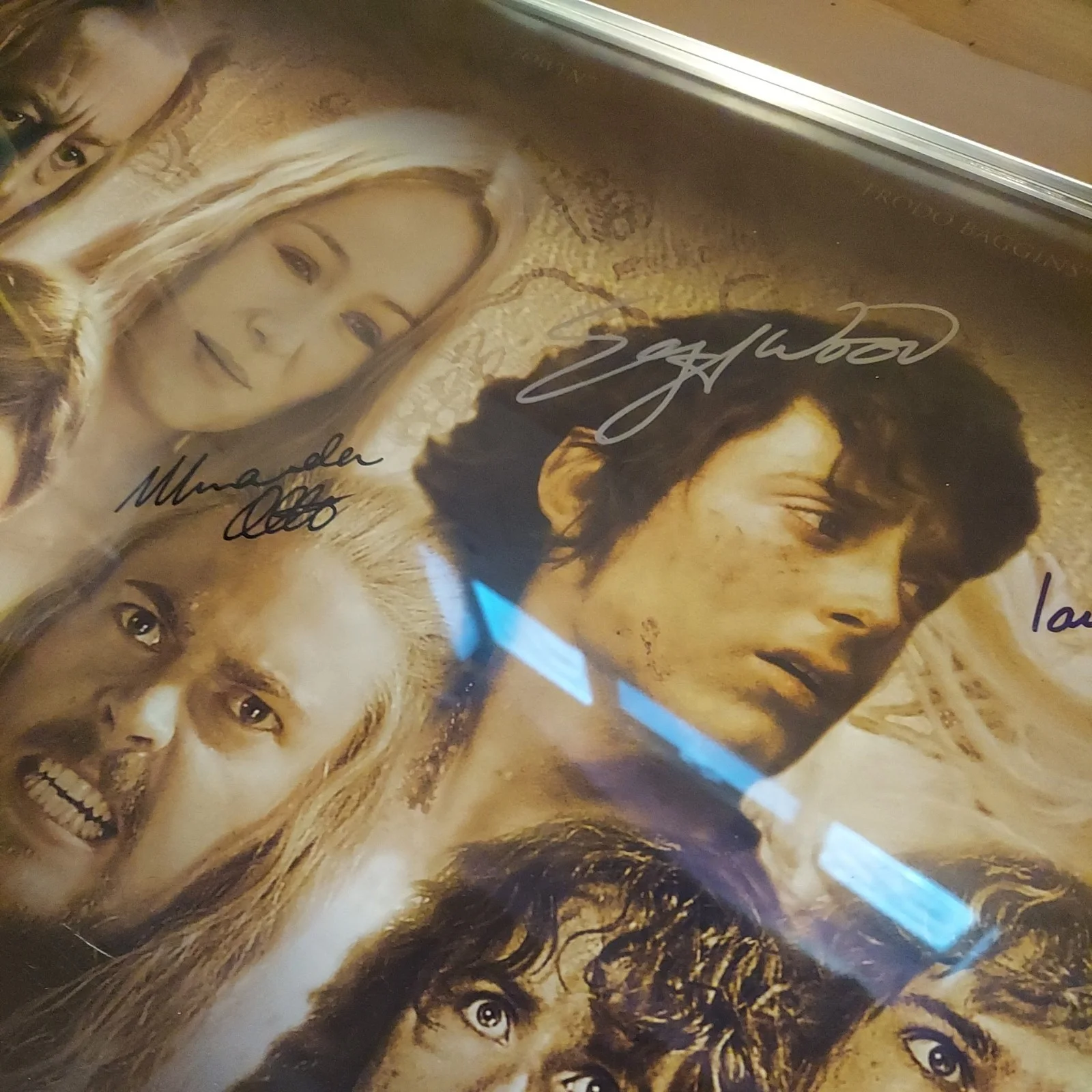 Movie Cast — LORD OF THE RINGS LotR CAST SIGNED POSTER 64x23.5 AUTOGRAPHED BY 20 MAIN CAST, изображение 5