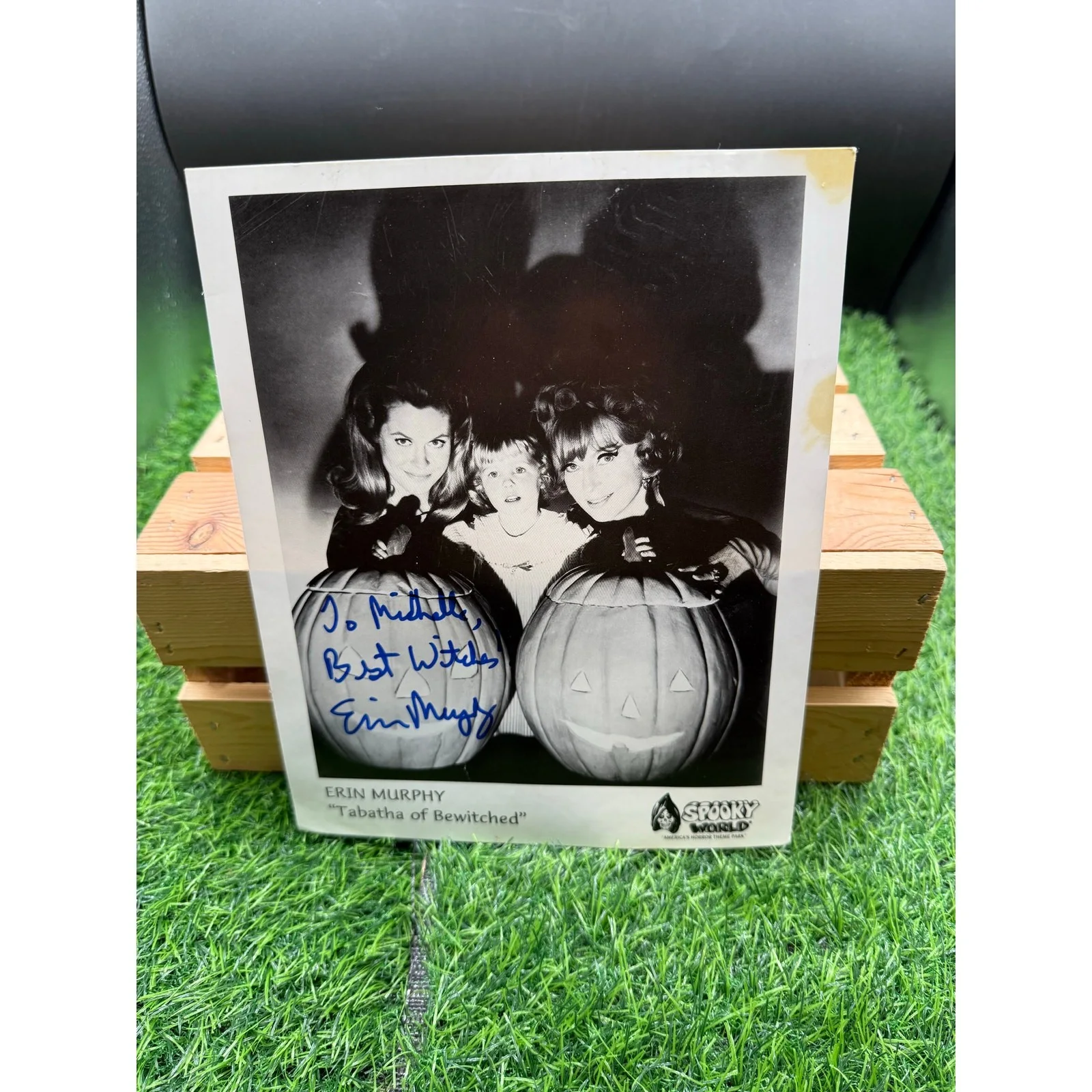 Autographed Photo of Erin Murphy as Tabitha-Bewitched-Address Michelle, image 4
