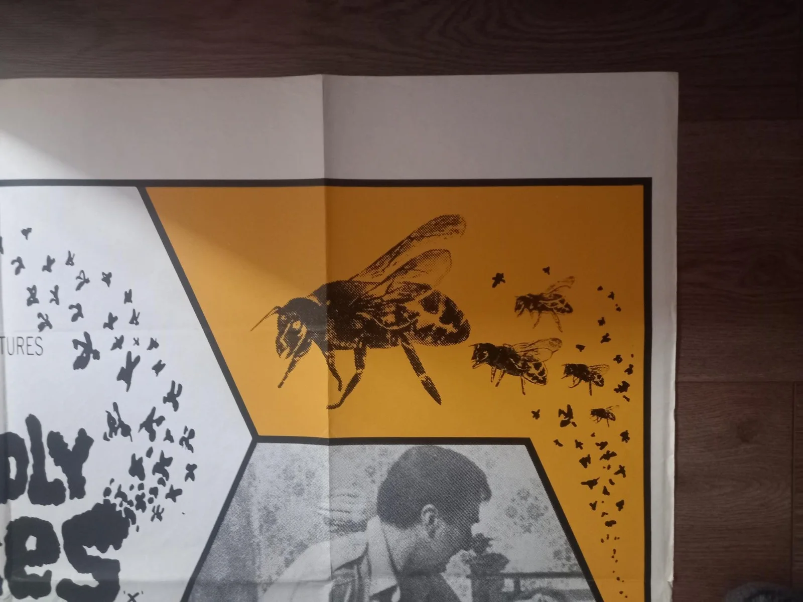 THE DEADLY BEES 1967 BRITISH QUAD POSTER SUZANNA LEIGH FRANK FINLAY GUY DOLEMAN, image 4