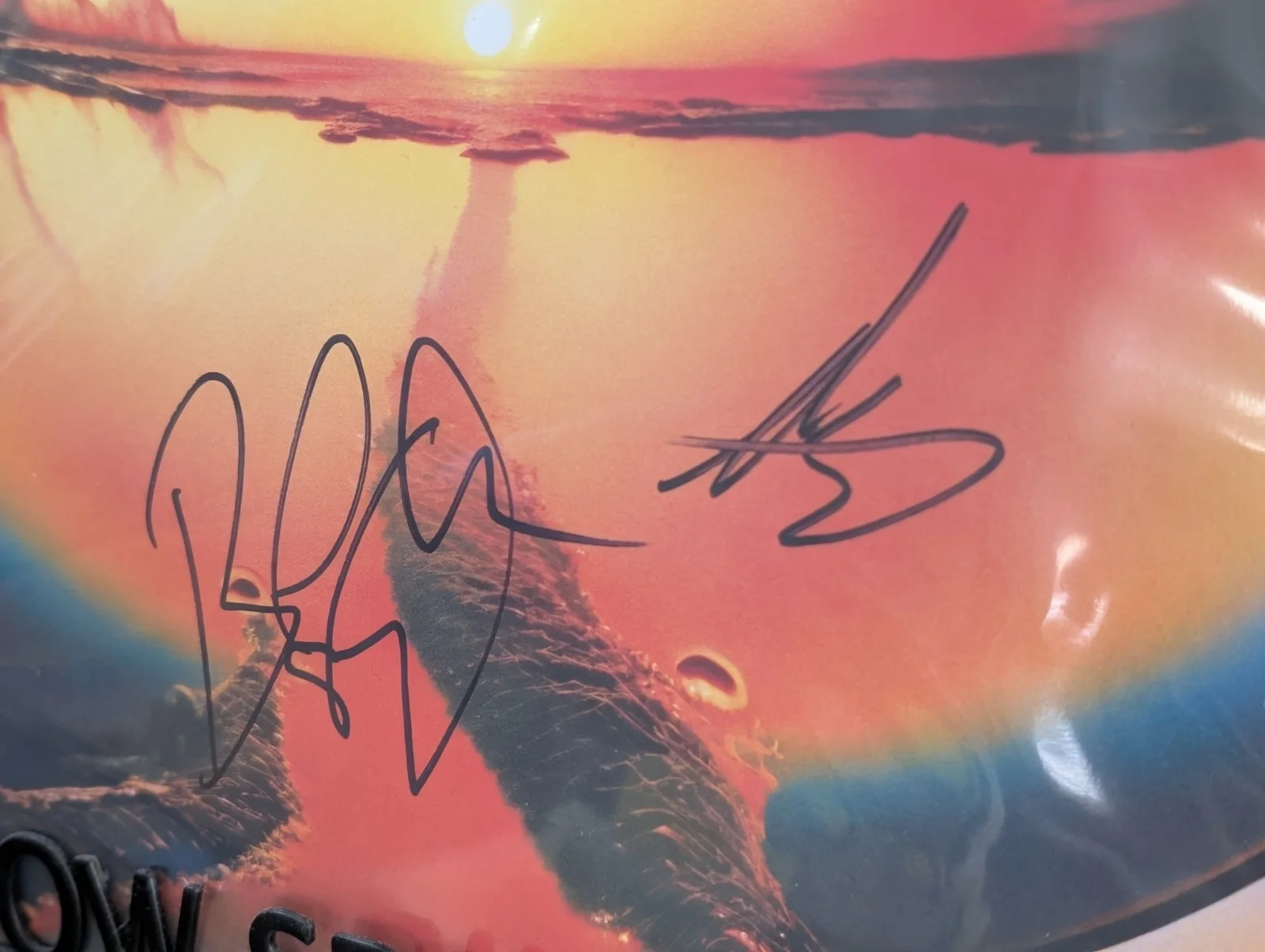 CAGE THE ELEPHANT - Neon Pill - SIGNED Clear Vinyl LP Autographed, image 3