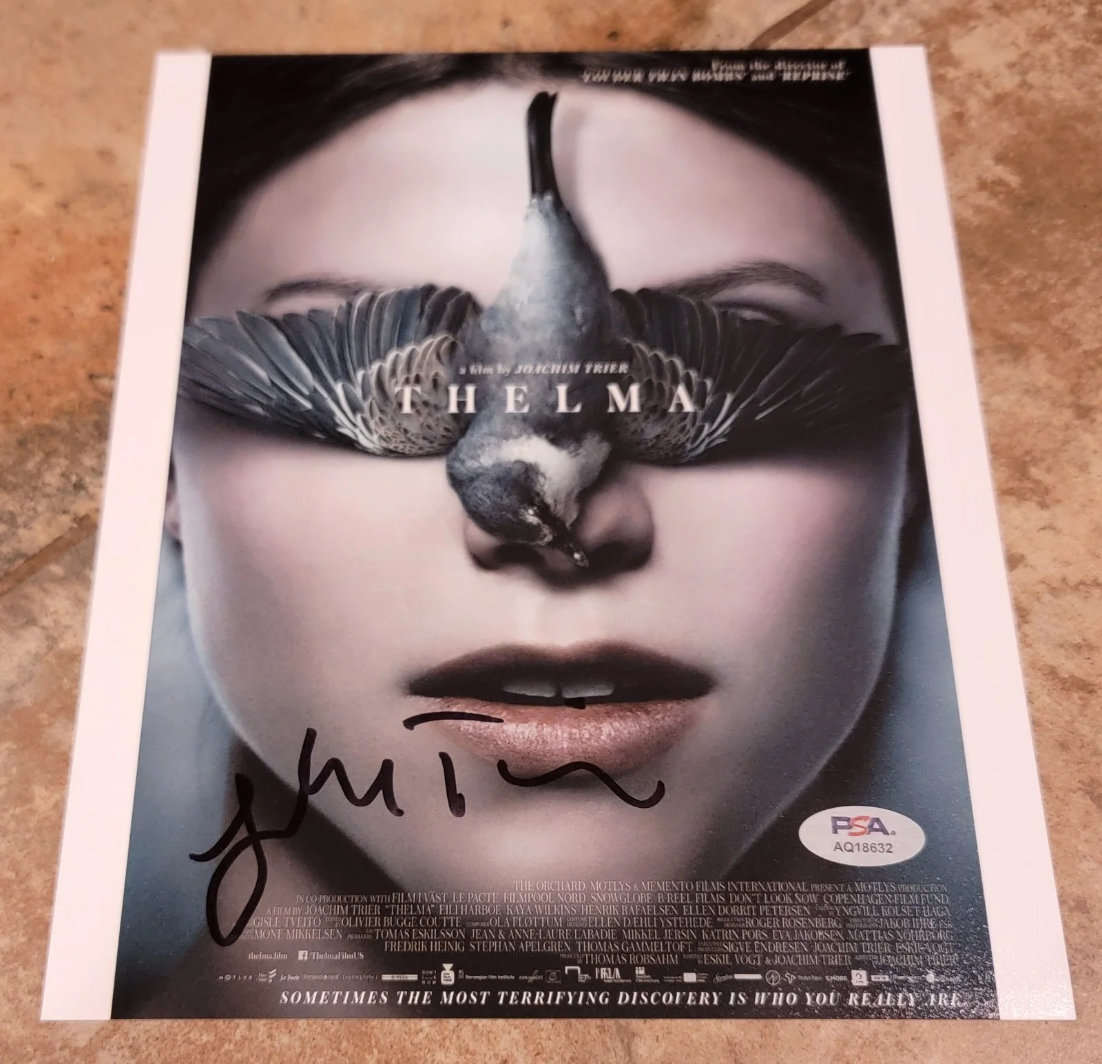 Joachim Trier — Joachim Trier signed 8x10 photo autograph PSA DNA Thelma Director