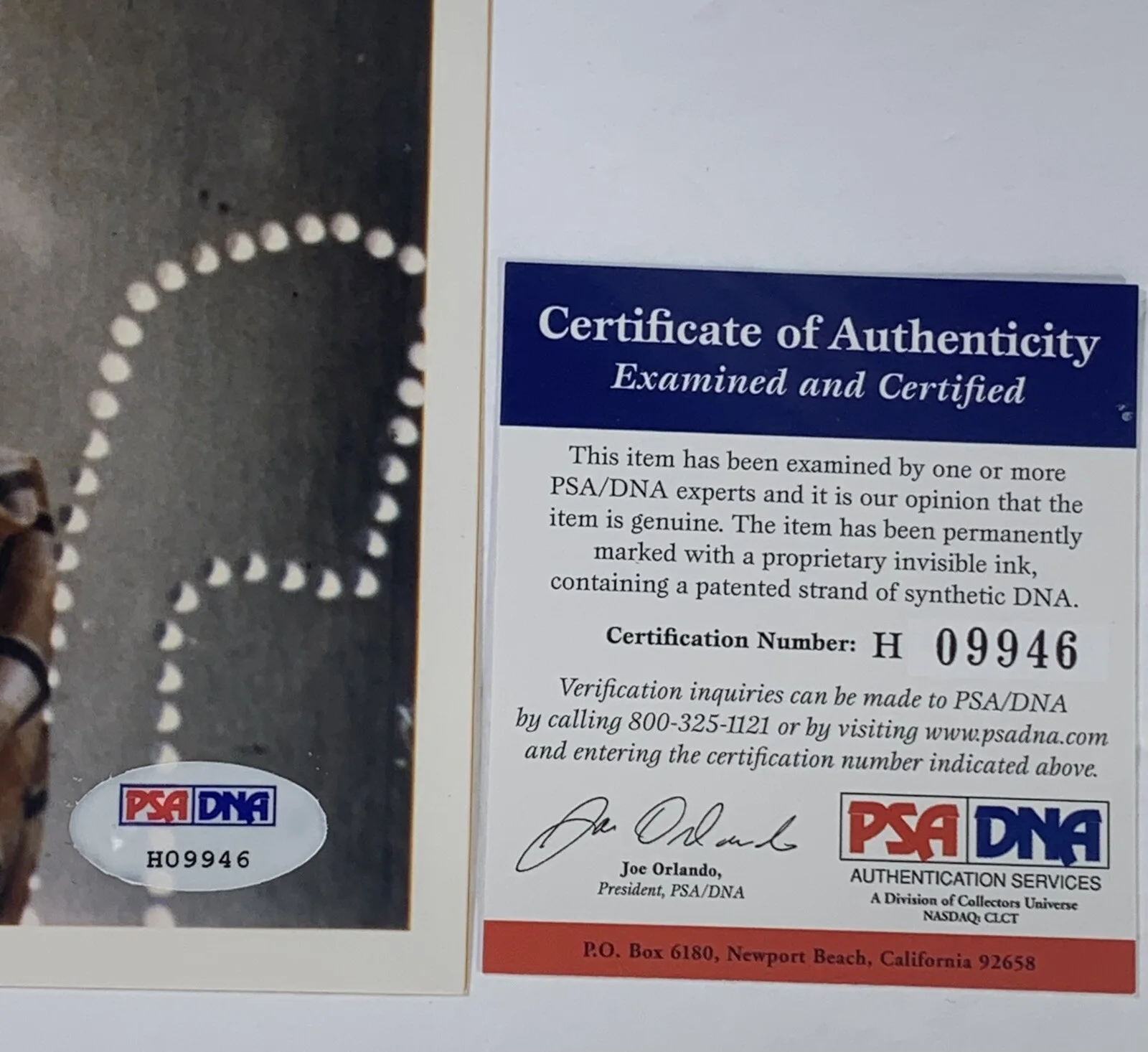 Paul Newman — Paul Newman signed Photo 8x10 psa dna coa, image 3