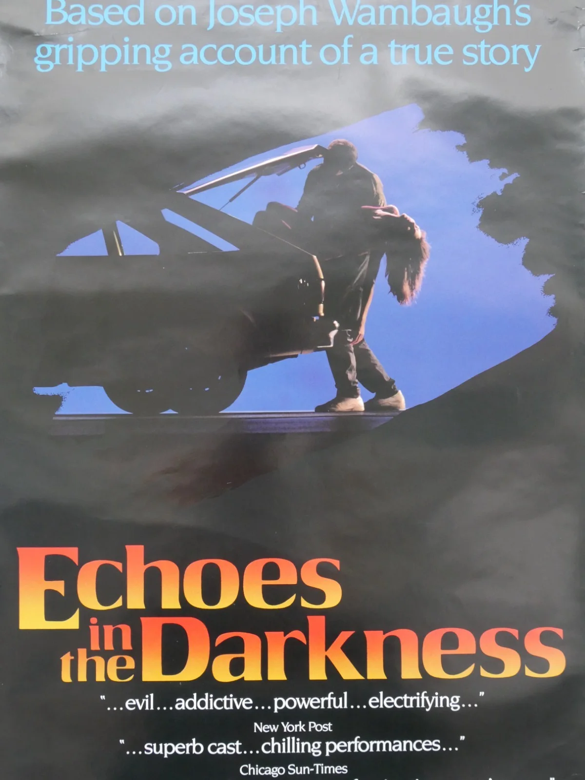 echoes in the darkness uk video shop film poster, изображение 4