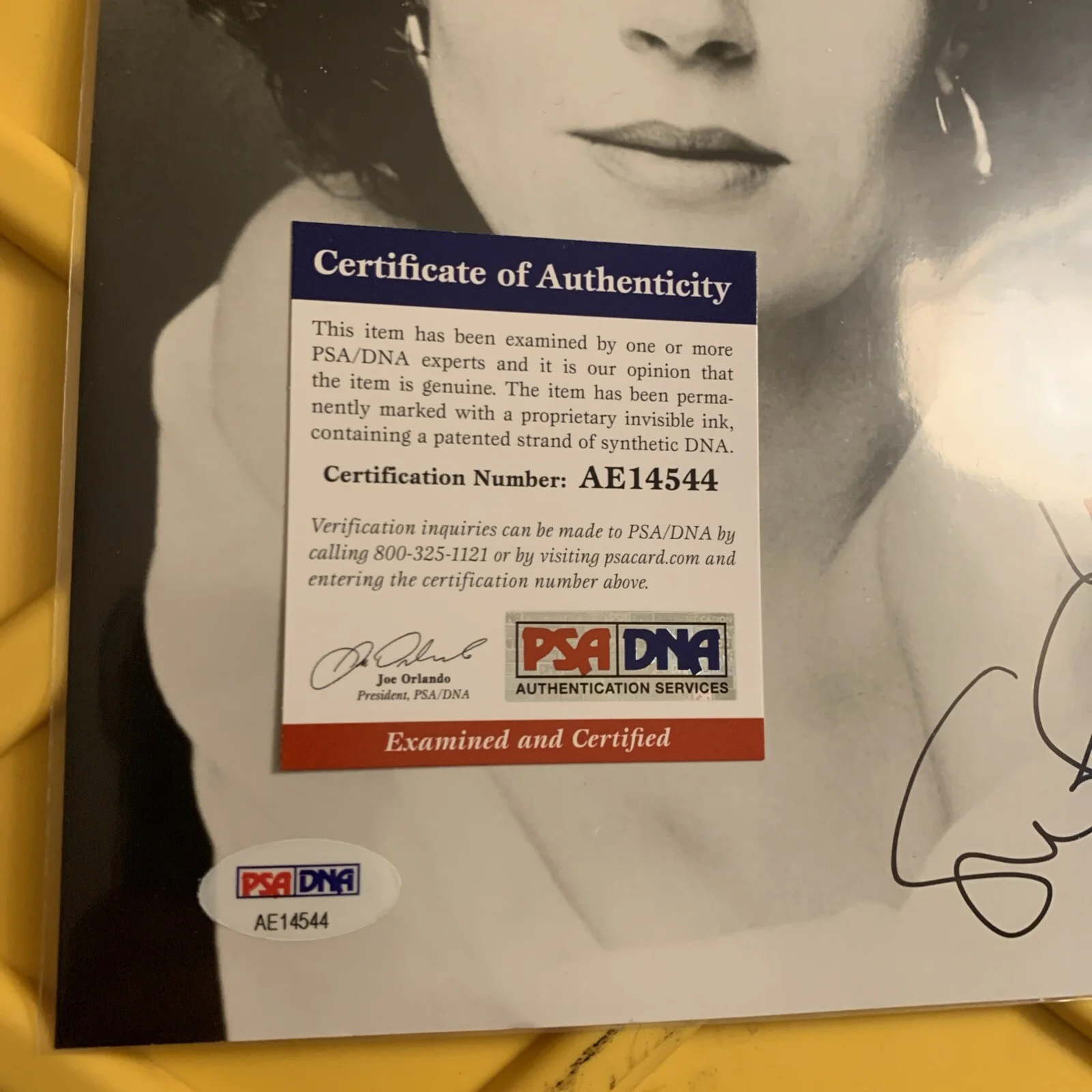 Susan Sarandon Signed Authentic Autographed 8x10 Photo (PSA/DNA) #AE14544, image 5