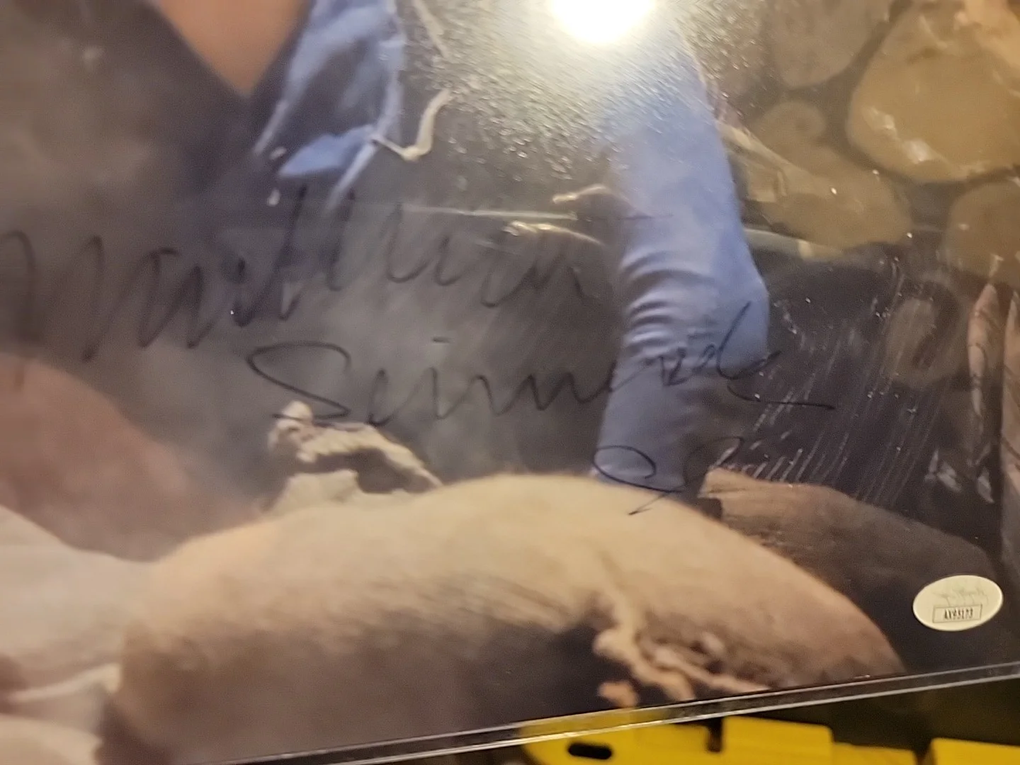 Millicent Simmonds — Millicent Simmonds "A Quiet Place" AUTOGRAPH Signed 'Regan' 8x10 COA, image 2