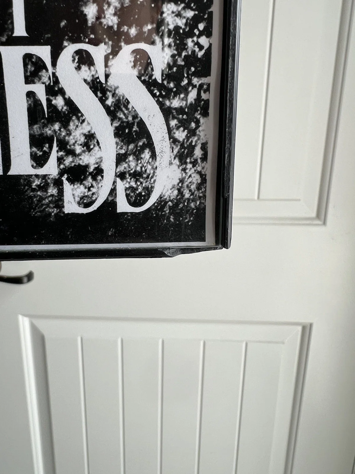 Authentic Autographed Taylor Momsen Of The Pretty Reckless Poster, изображение 3