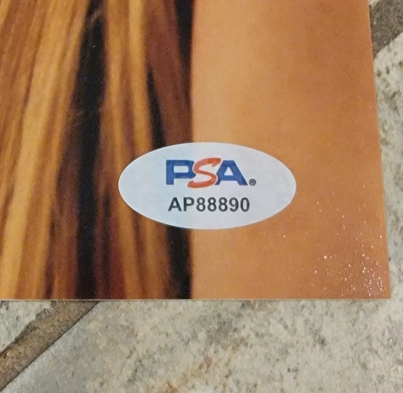 Kerry Condon — Kerry Condon signed 8x10 photo PSA DNA autograph photoshoot mirror, изображение 2