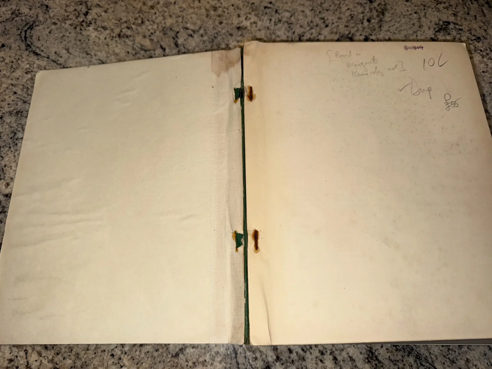 Original 1943 British Film Script - The Constant Nymph - 1933 Basil Dean, image 2