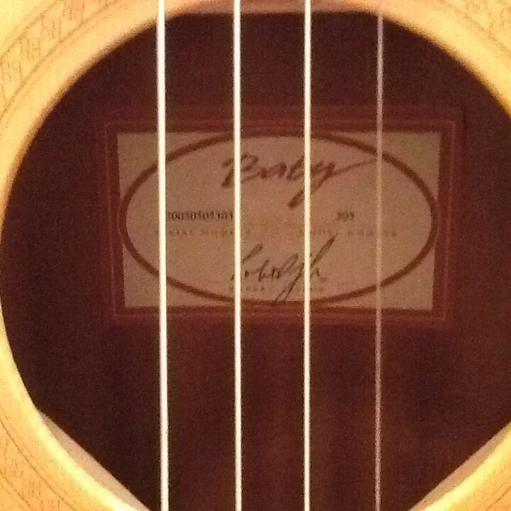 Taylor 305 Baby Acoustic Guitar Audio Adrenaline Hand & Feet Project Haiti, изображение 4