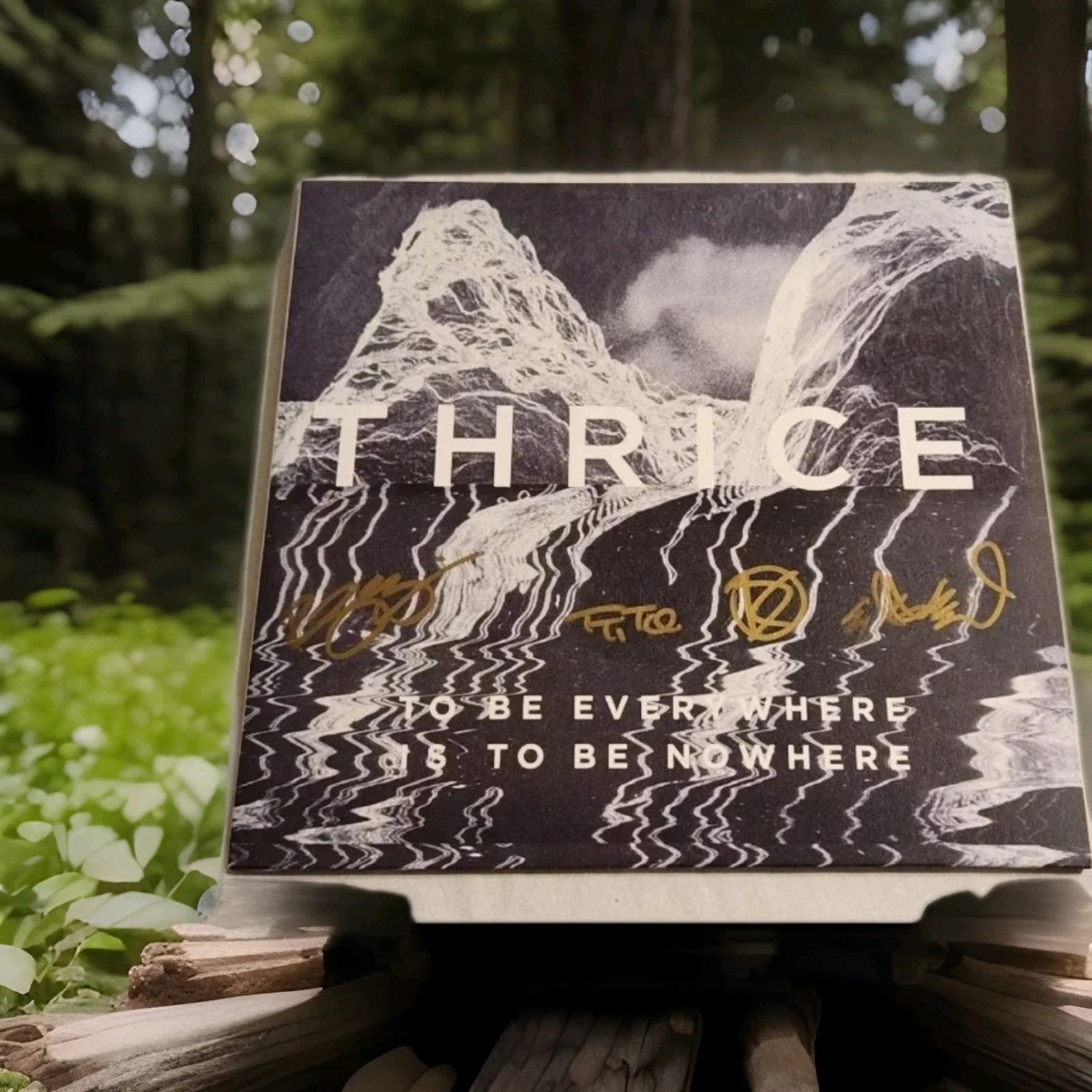 Thrice Autographed To Be Everywhere Is To Be Nowhere Yellow Vinyl LP Full Band!, image 3