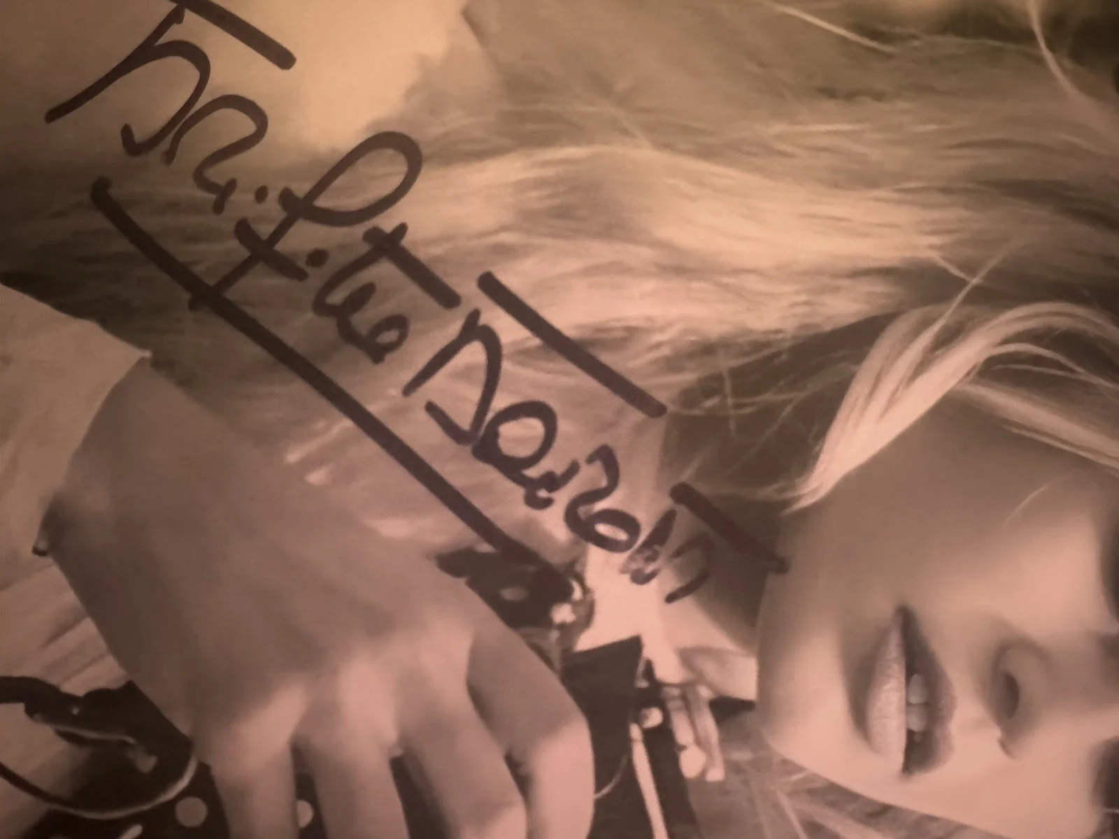 Brigitte Bardot Signed 5 X 7 Photo French Actress And Sex Symbol, изображение 2