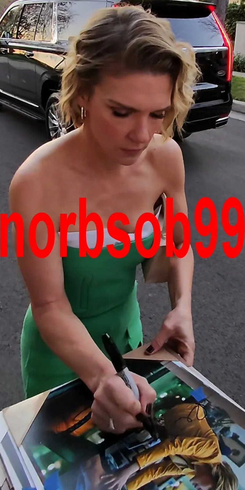 RHEA SEEHORN SIGNED PLURIBUS 8x10 PHOTO A w/EXACT VIDEO PROOF & AUTOGRAPH COA, image 4