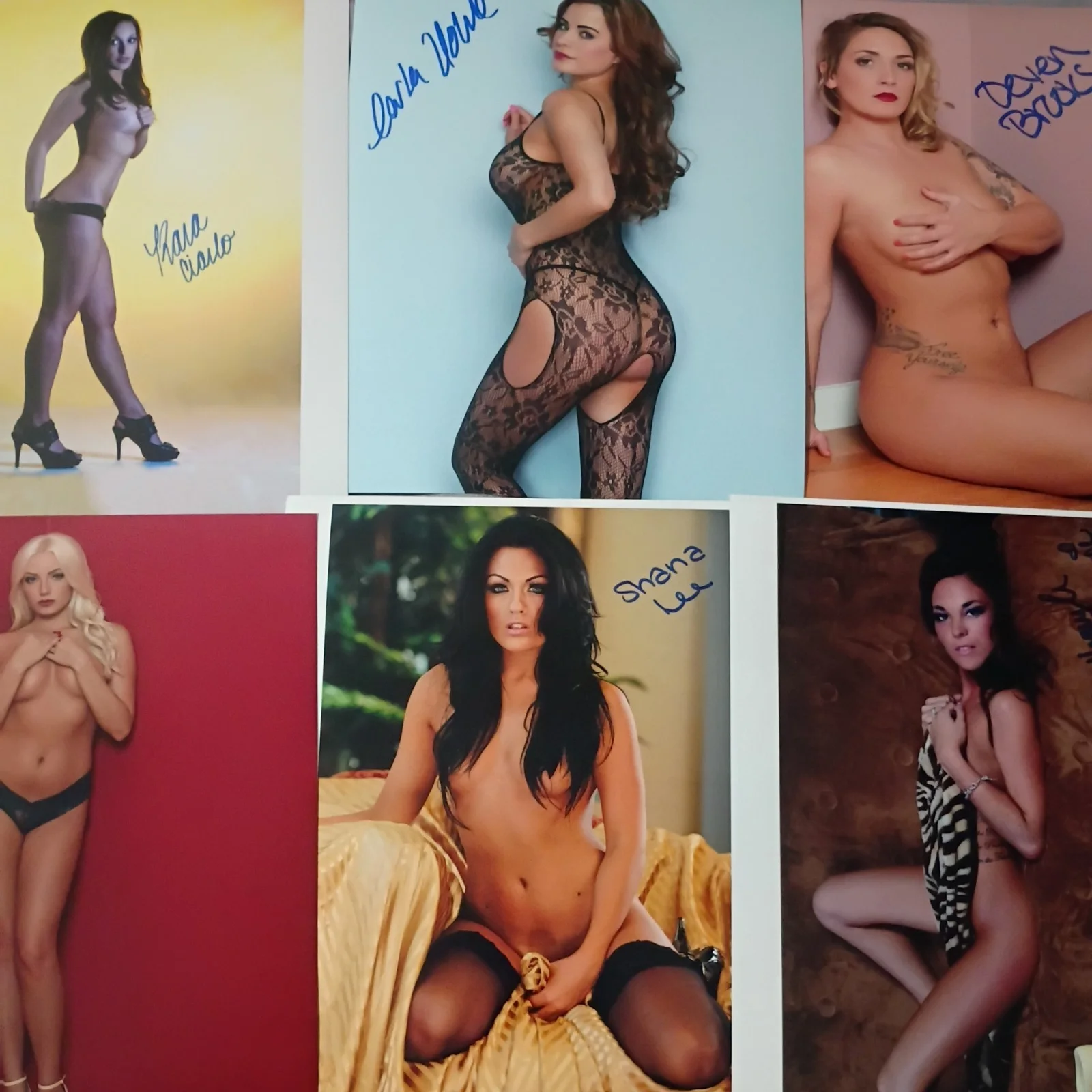Selena Riviera — Autographed Signed 8x10 Photo Autograph World lot of 6, изображение 4