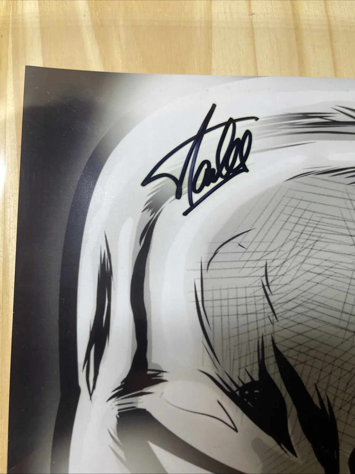 Stan Lee Signed Silver Surfer 8x10 Photo Authentication Legends COA#014019, image 3