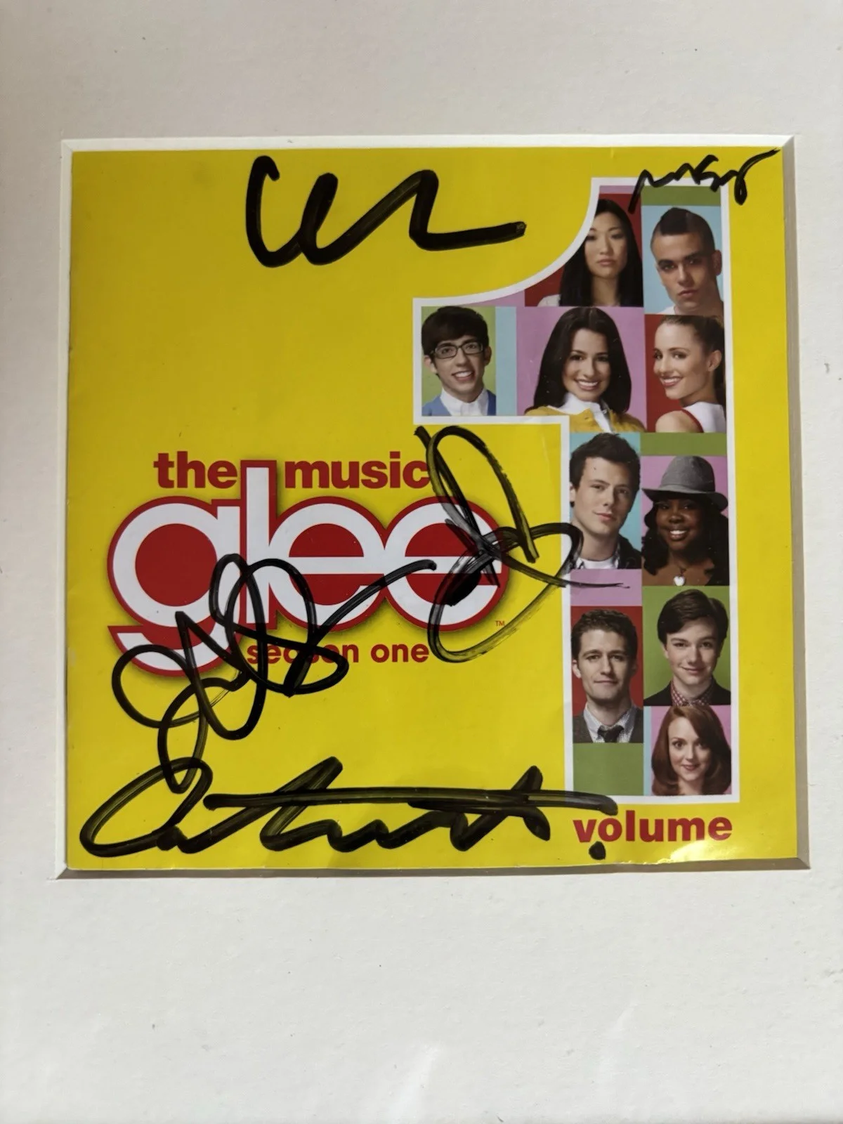 Glee Cast Signed Autographed Framed CD Booklet. CD Not Included, image 2