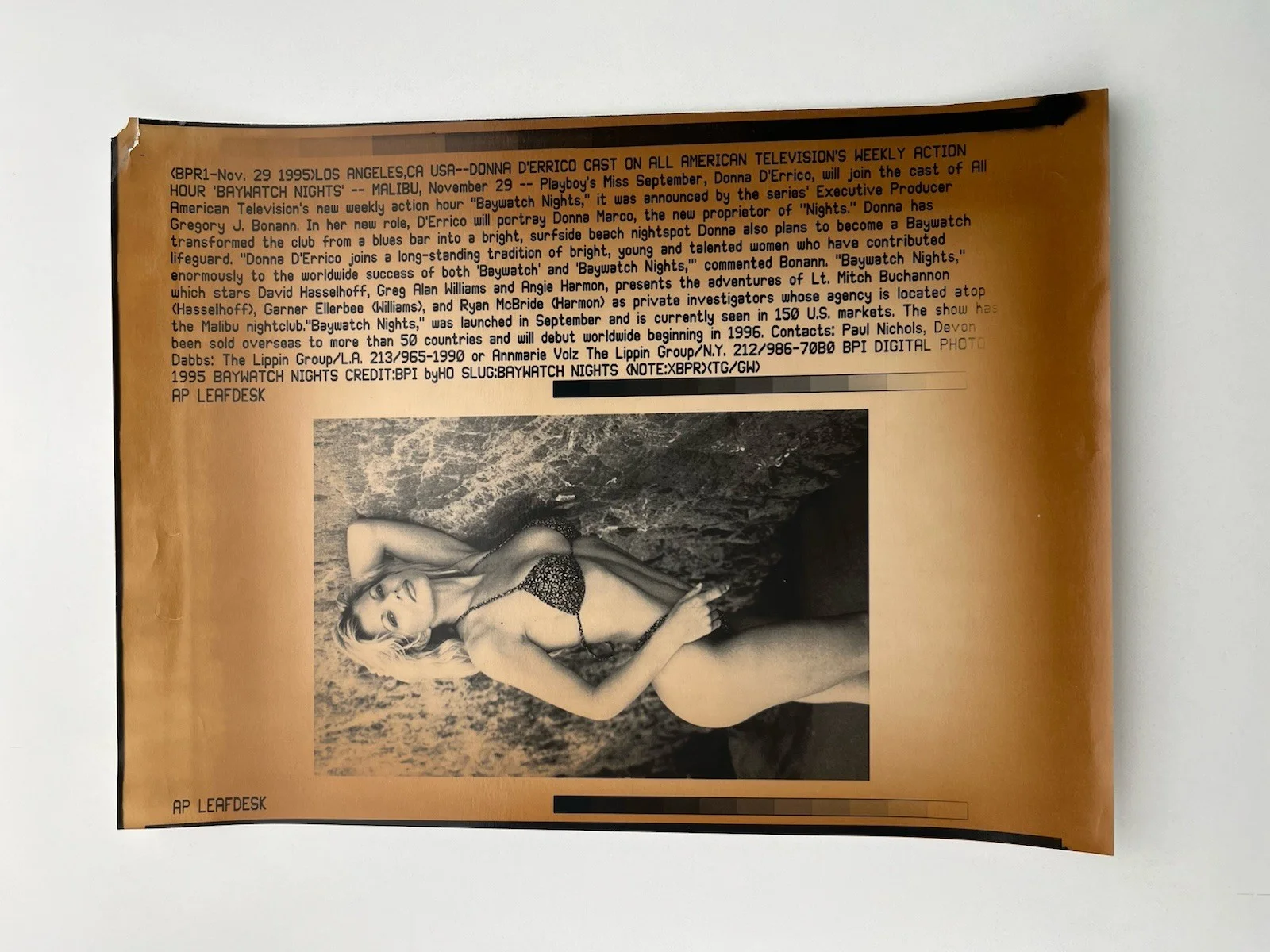 1995 Donna D'Errico Baywatch Nights Promo-Press AP Leafdesk David Hasselhoff, image 2