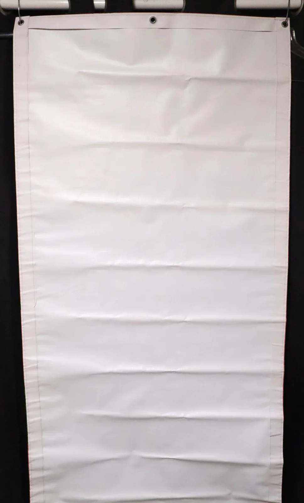 Gina Grant — Autographed Gina Grant Zumba Banner LET IT MOVE YOU Vinyl, image 3