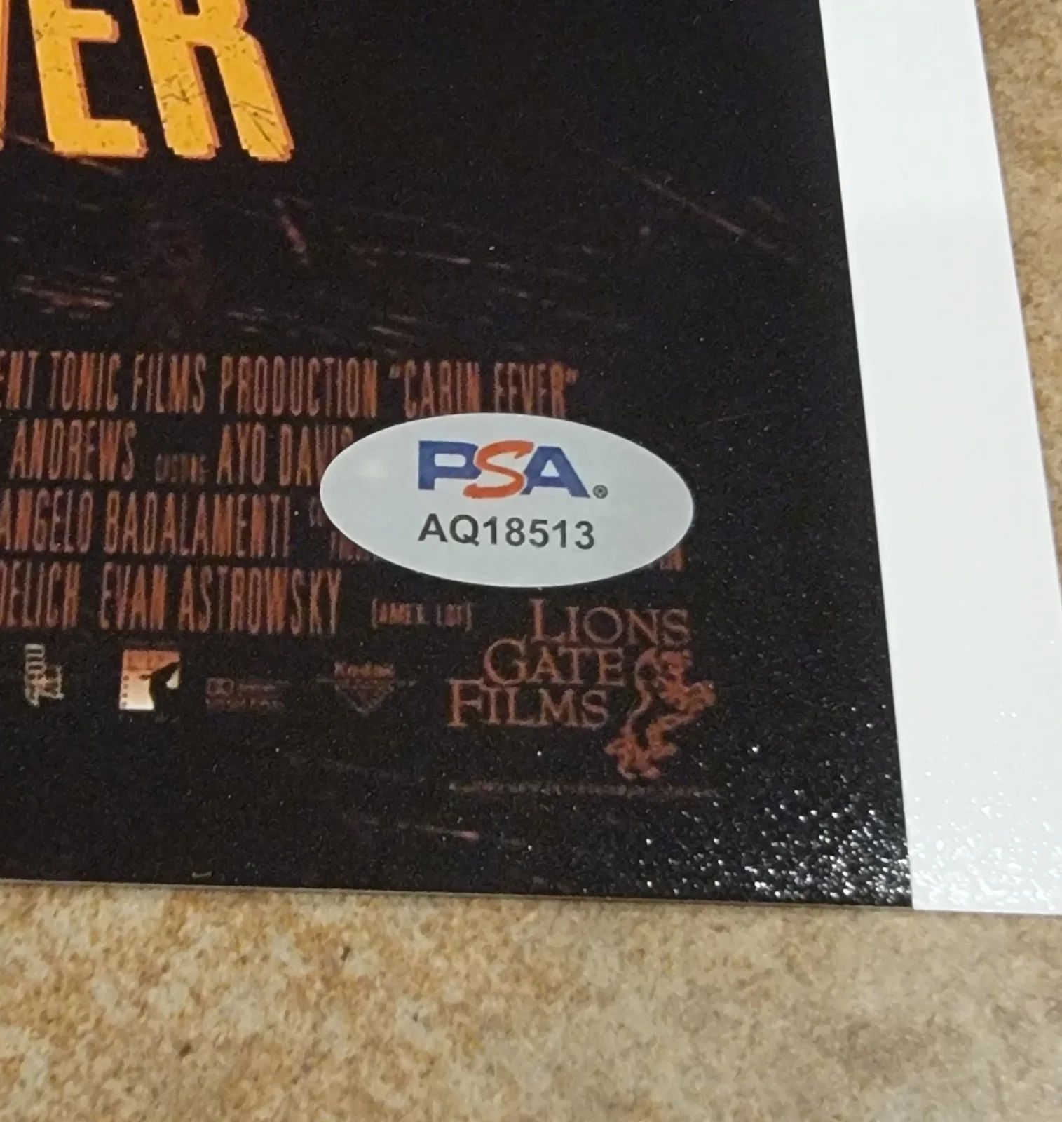 Eli Roth — Eli Roth signed 8x10 photo PSA DNA autograph Cabin Fever, image 2