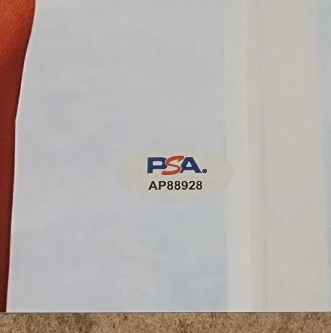 Zoey Deutch — Zoey Deutch signed 11x14 Photo PSA DNA Autograph photoshoot orange dress, изображение 2