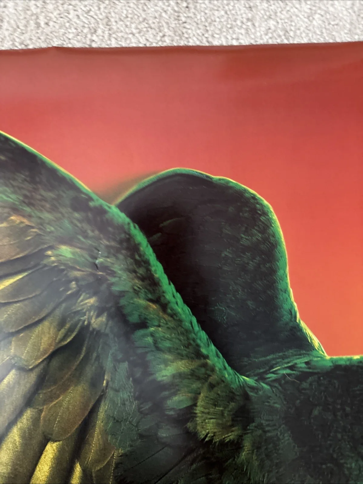 Paulie (1998) Original US One Sheet Movie Poster, image 3
