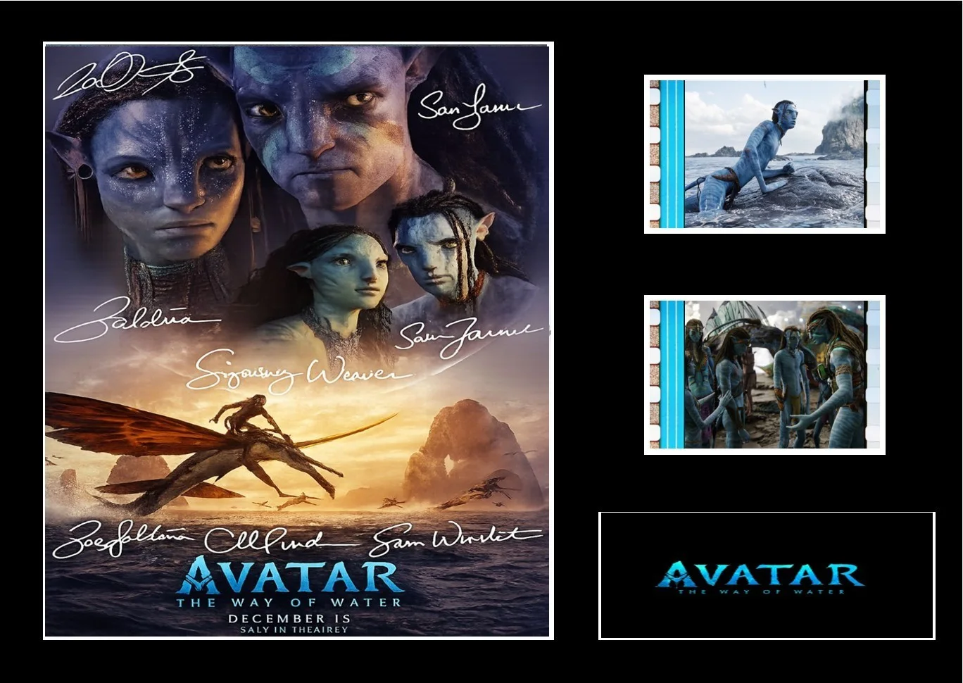Avatar The Way of Water Cast Signed Film Cell Display Amazing COA, изображение 3