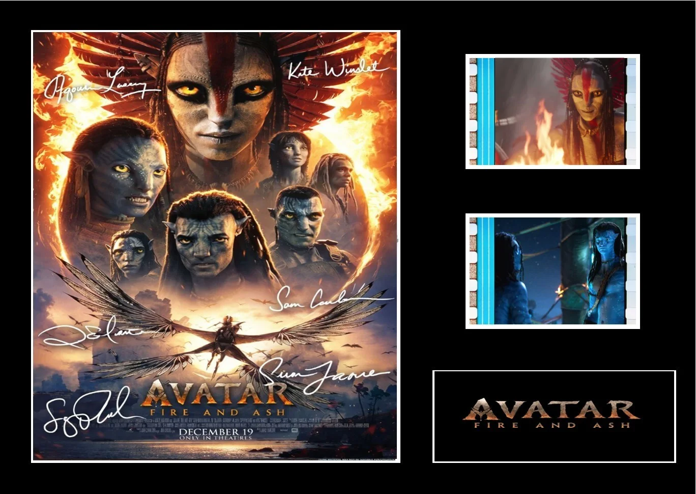 Avatar: Fire and Ash Cast Signed Film Cell Display Amazing COA, image 3